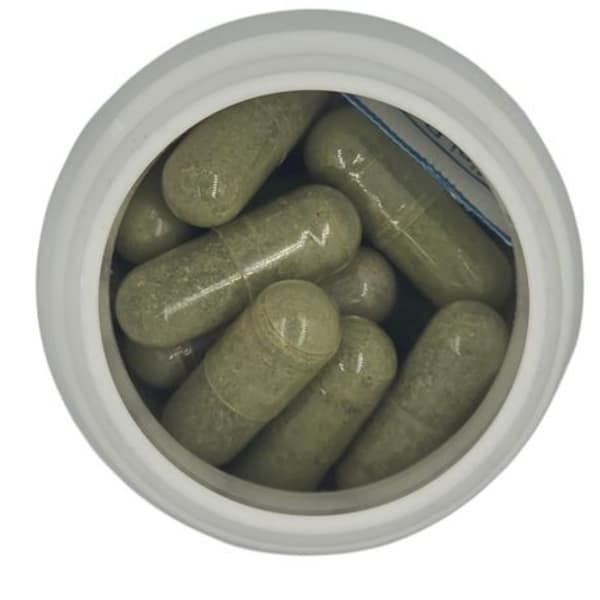 Healthy Life Moringa Oleifera Leaf Extract - 500mg 60 Caps Energy & Immune - Image 10